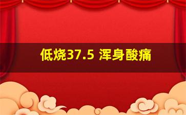 低烧37.5 浑身酸痛